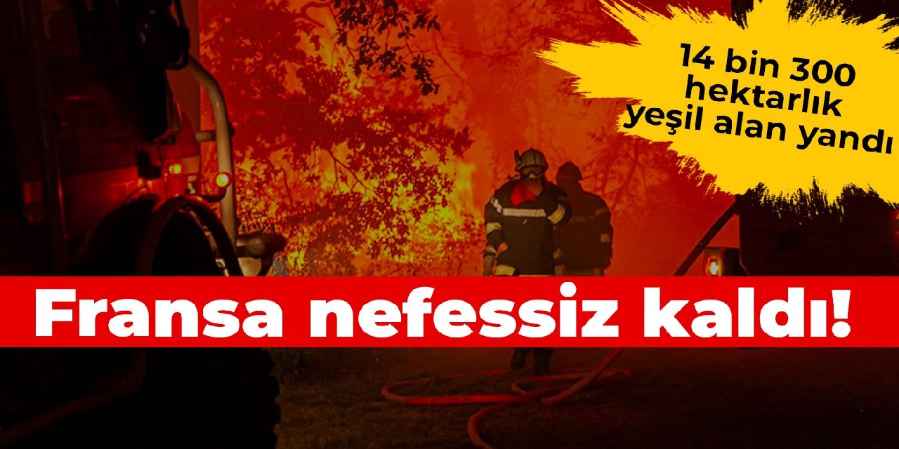Fransa nefessiz kaldı! 14 bin 300 hektarlık yeşil alan yandı