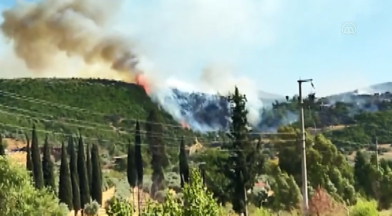 Aydın Söke'de orman yangını
