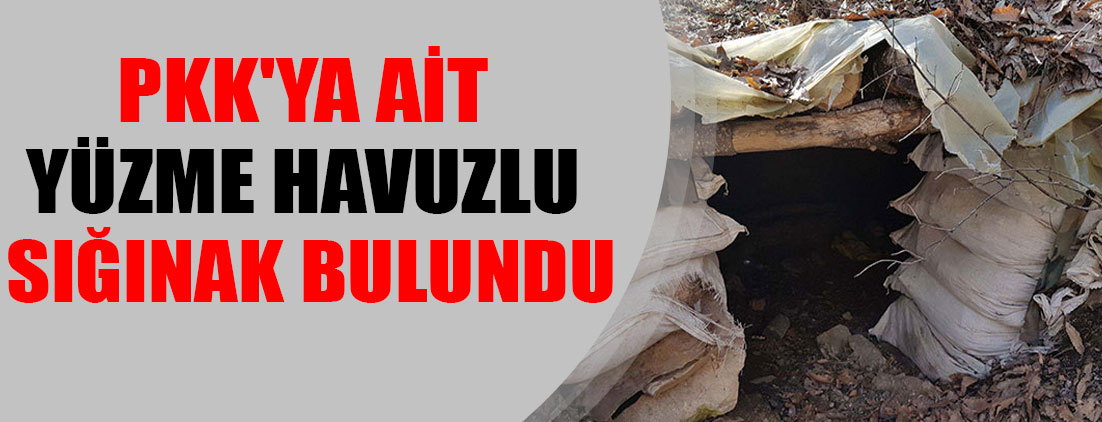 Tunceli'de PKK'nın 'yüzme havuzlu' sığınağı tespit edildi