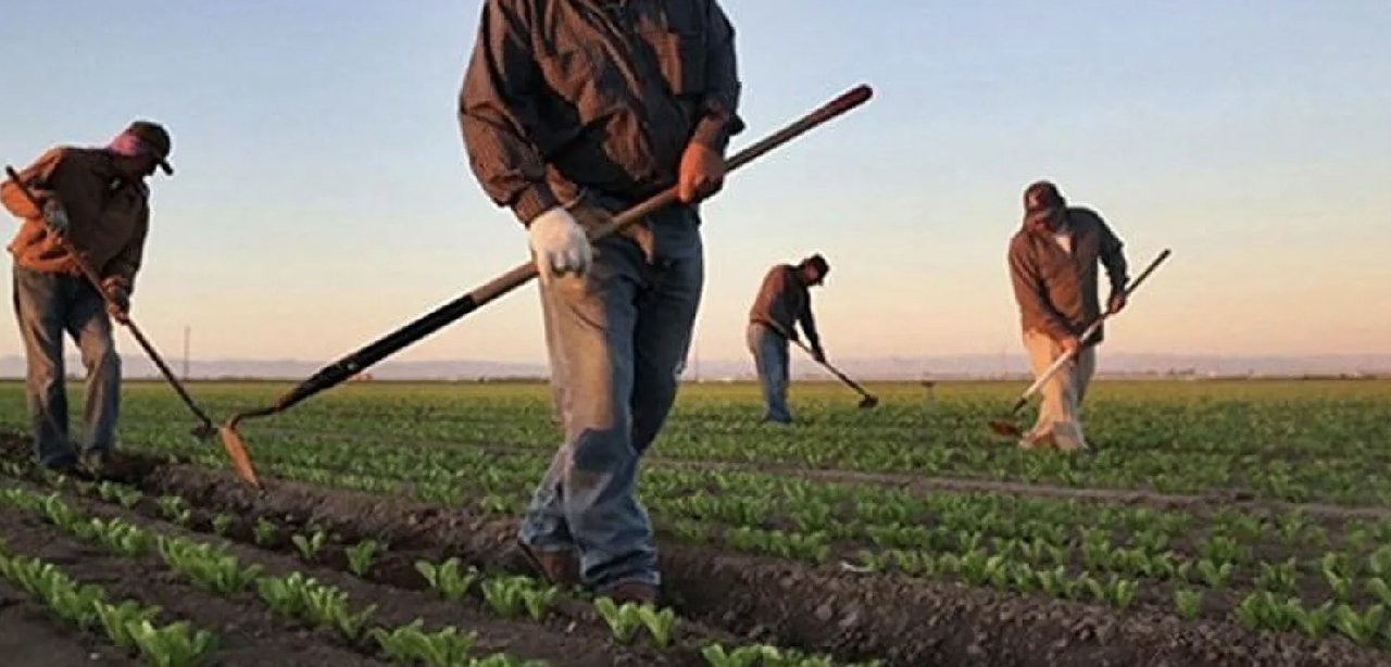 Birleşik Kamu-İş: Çiftçinin enflasyonu yüzde 148