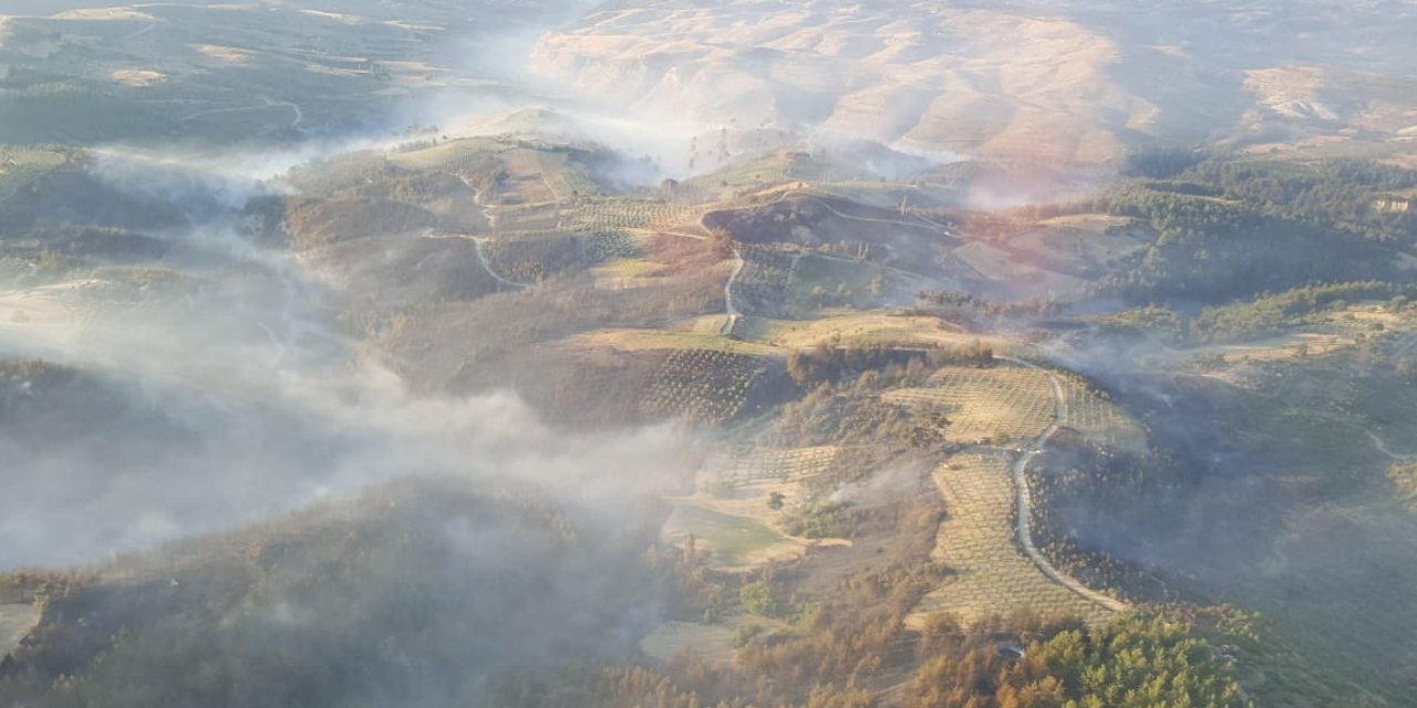 Manisa'daki orman yangınında 2 gözaltı