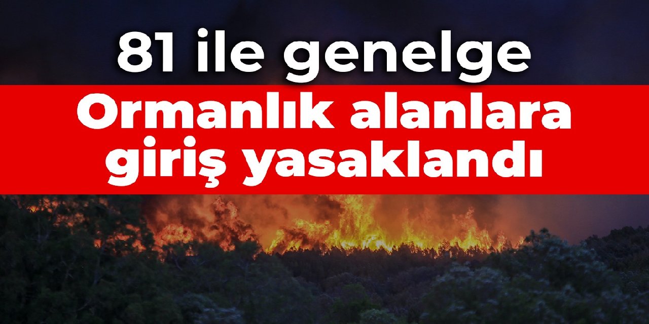 81 ile genelge: Ormanlık alanlara giriş yasaklandı