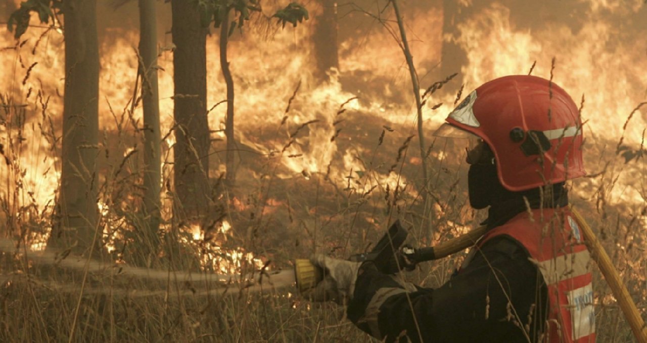 İspanya'daki orman yangınının nedeni ortaya çıktı