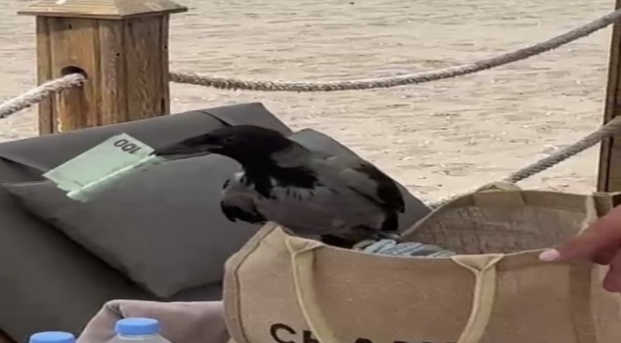 Çantadan 100 euro'yu kaptı