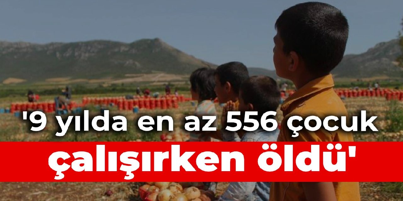 '9 yılda en az 556 çocuk çalışırken öldü'