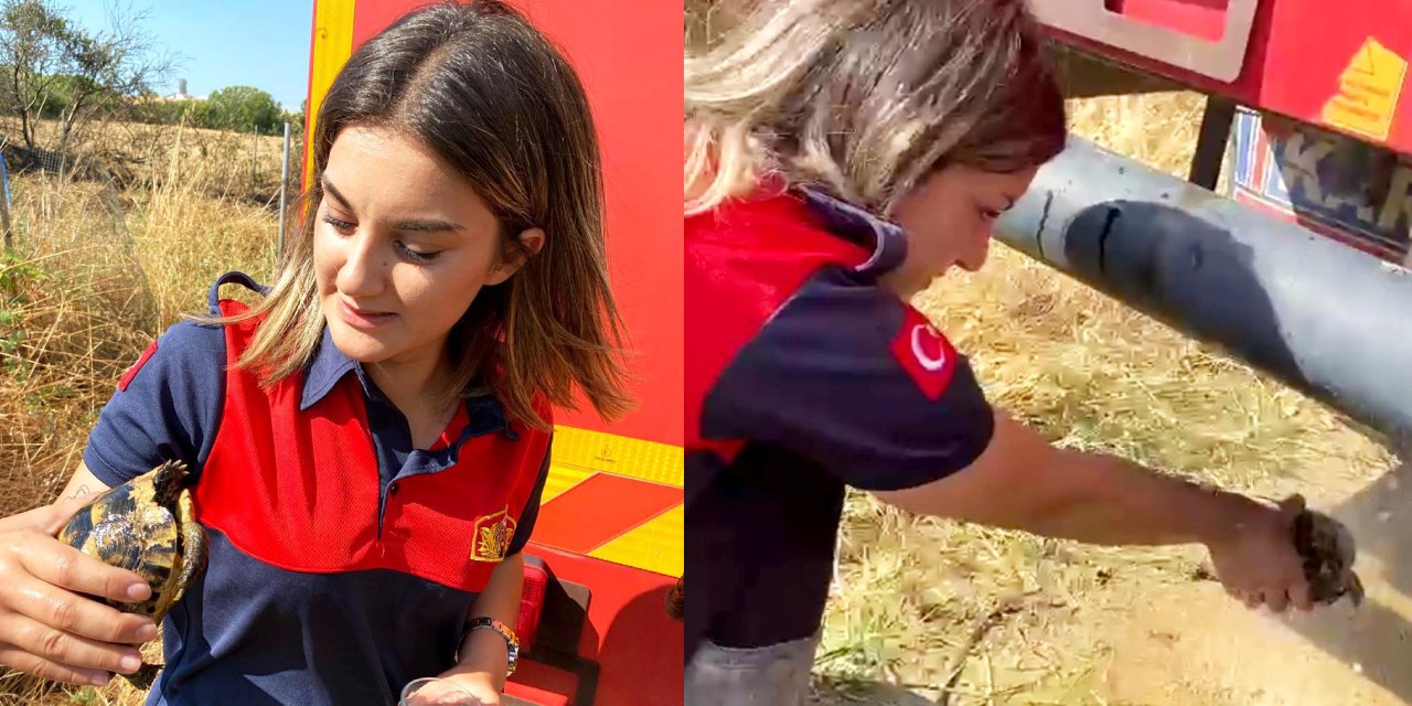 Alevlerin ortasında kalan kaplumbağaya itfaiye yetişti