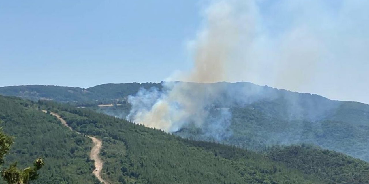 Biga'da orman yangını