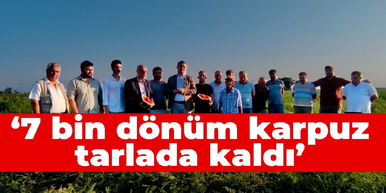 CHP Samsun İl Başkanı Fatih Türkel: 7 bin dönüm karpuz tarlada kaldı