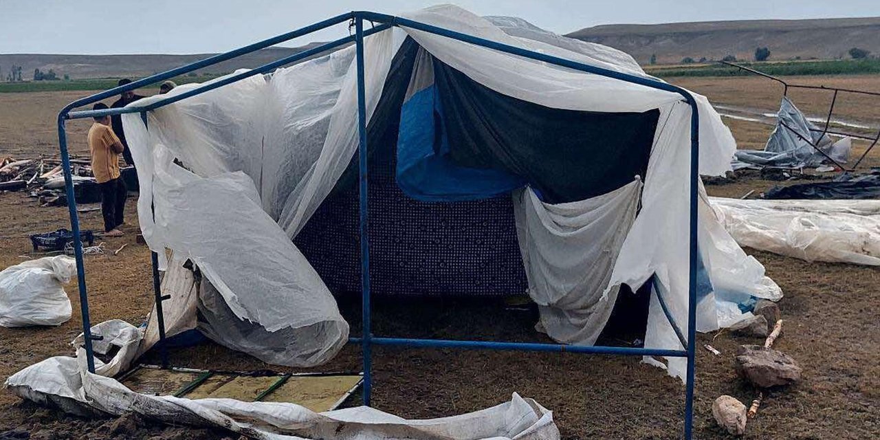 Kuvvetli rüzgar mevsimlik işçilerin çadırlarını yıktı geçti