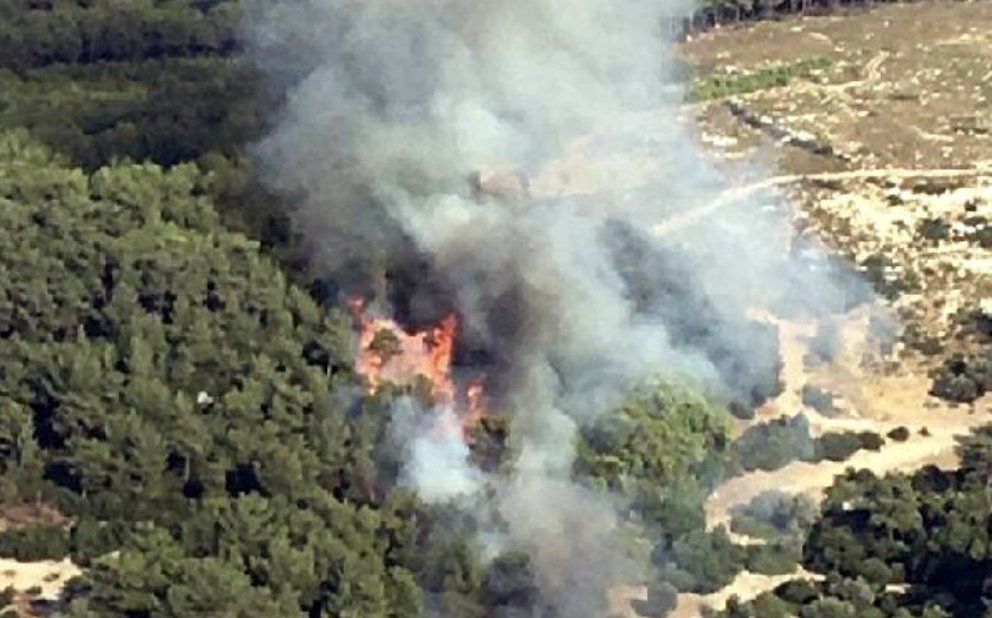 İzmir'de orman yangını