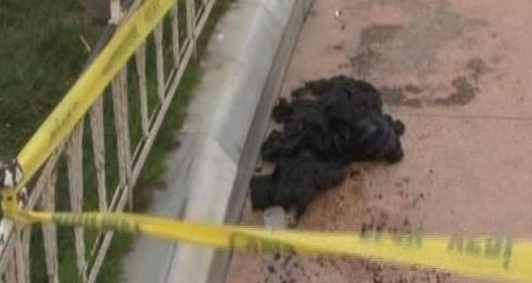 İranlı turist Taksim Meydanı'nda kendini yakmaya kalktı!