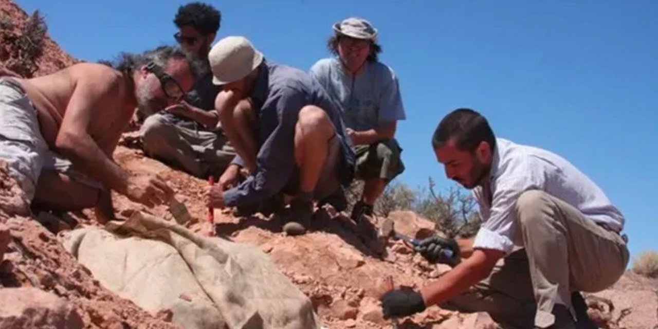 Arjantin'de heyecanlandıran keşif: 100 milyon yıl öncesine ait dinozor fosili