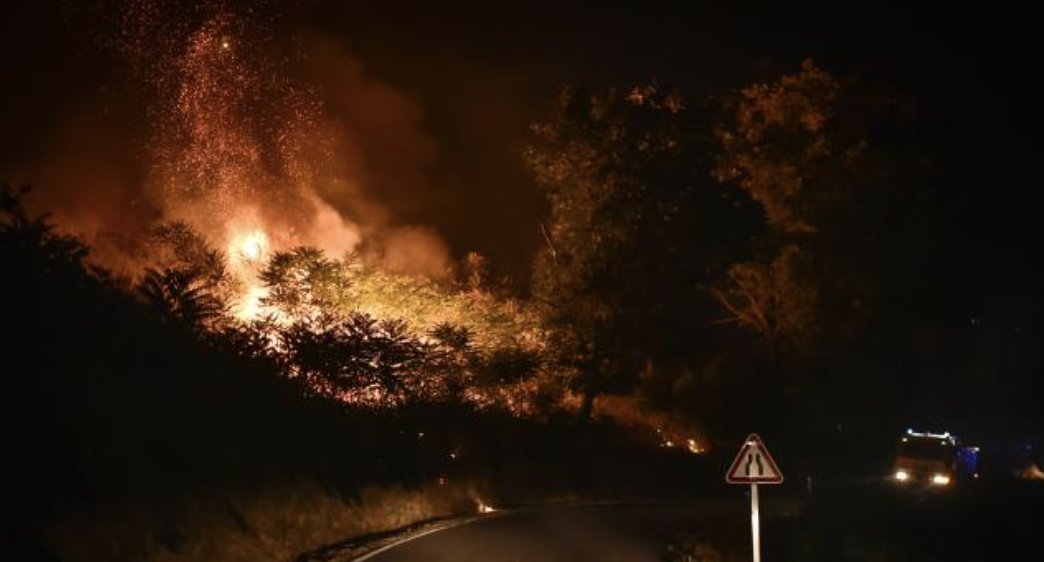 Portekiz'deki orman yangını: 15 bin hektar alan kül oldu