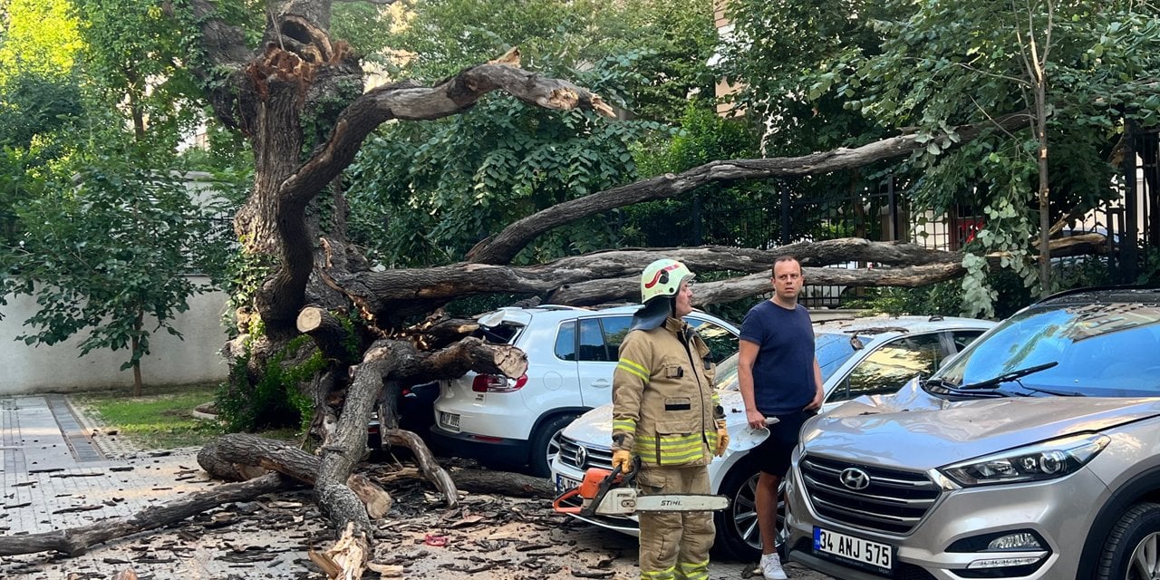 Kadıköy'de çınar ağacı 5 aracın üzerine devrildi