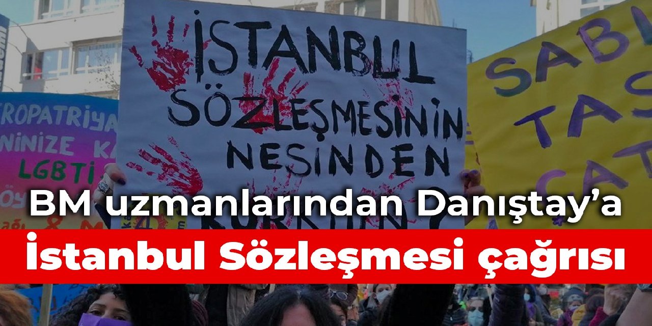 BM uzmanlarından Danıştay’a İstanbul Sözleşmesi çağrısı