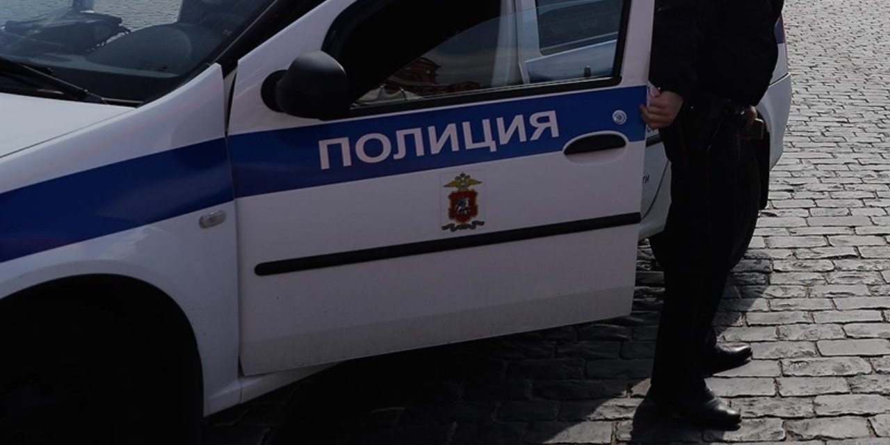 Rusya’da muhalif siyasetçi Royzman gözaltına alındı