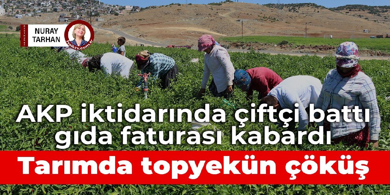 AKP iktidarında çiftçi battı, gıda faturası kabardı: Tarımda topyekün çöküş