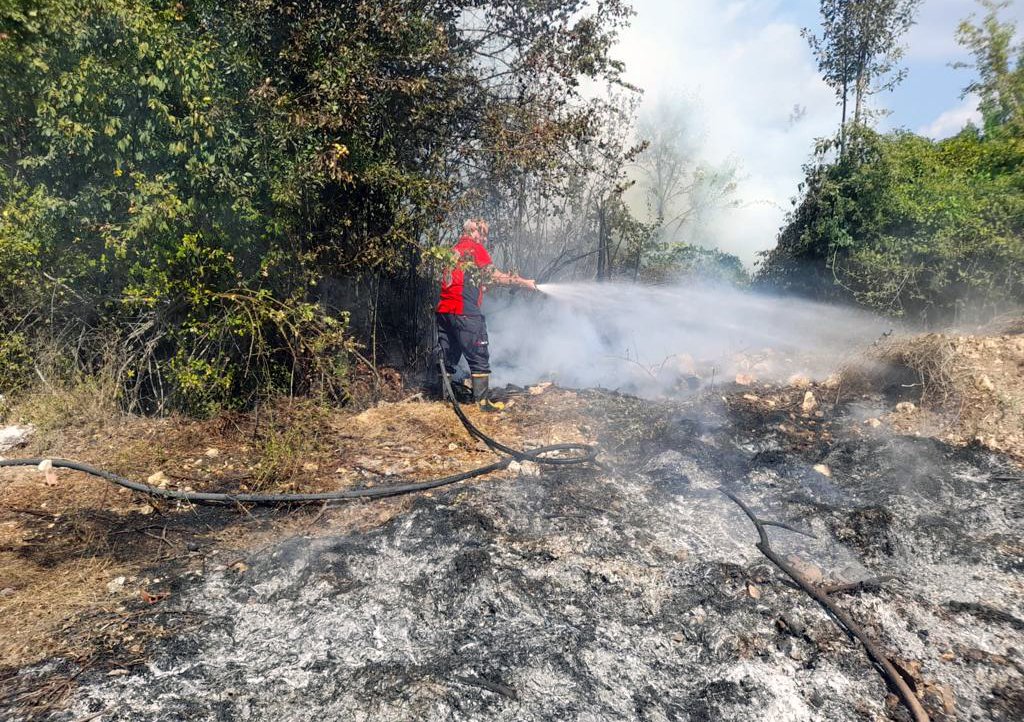 Mersin'de orman yangını