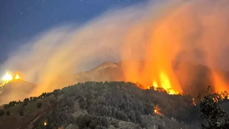 Munzur Vadisi Milli Parkı'ndaki yangın söndürüldü