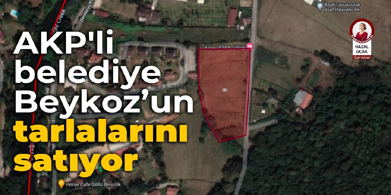 AKP'li belediye Beykoz’un tarlalarını satıyor