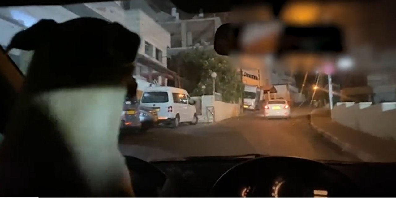 Köpeğine araç kullandıran adam tutuklandı