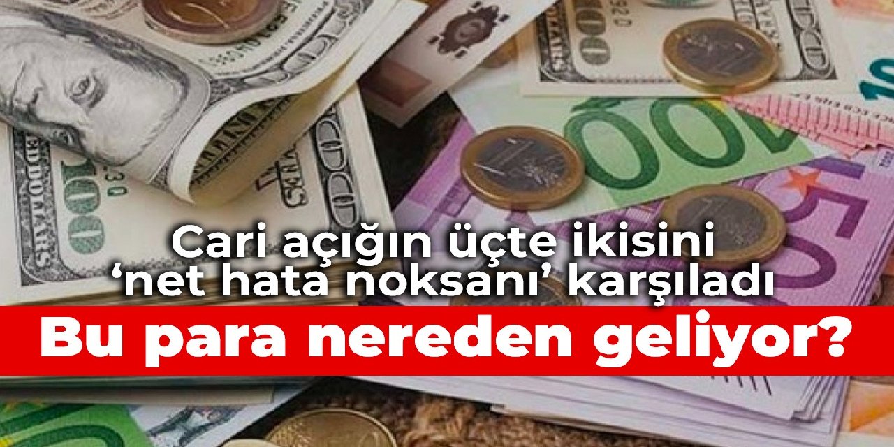 Cari açığın üçte ikisini ‘net hata noksanı’ karşıladı: Bu para nereden geliyor?
