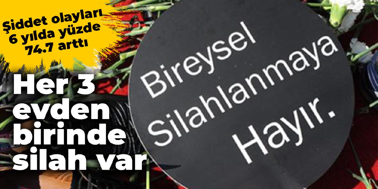 Türkiye'de bireysel silahlanma gerçeği: Şiddet olayları 6 yılda yüzde 74.7 arttı