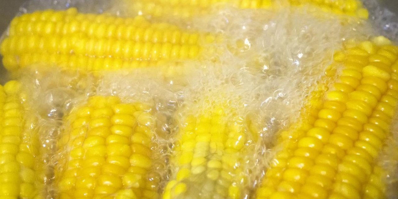 Suyunu sakın dökmeyin: Meğer pek çok farklı şekilde kullanılabiliyormuş...