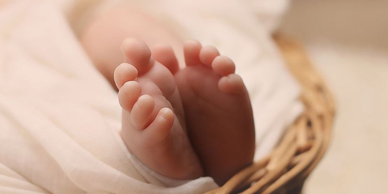 Yeni doğum yapan anneler dikkat! Bu besinler sütünüzü arttırıyor!