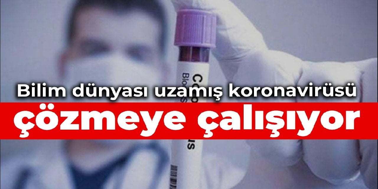 Bilim dünyası uzamış koronavirüsü çözmeye çalışıyor