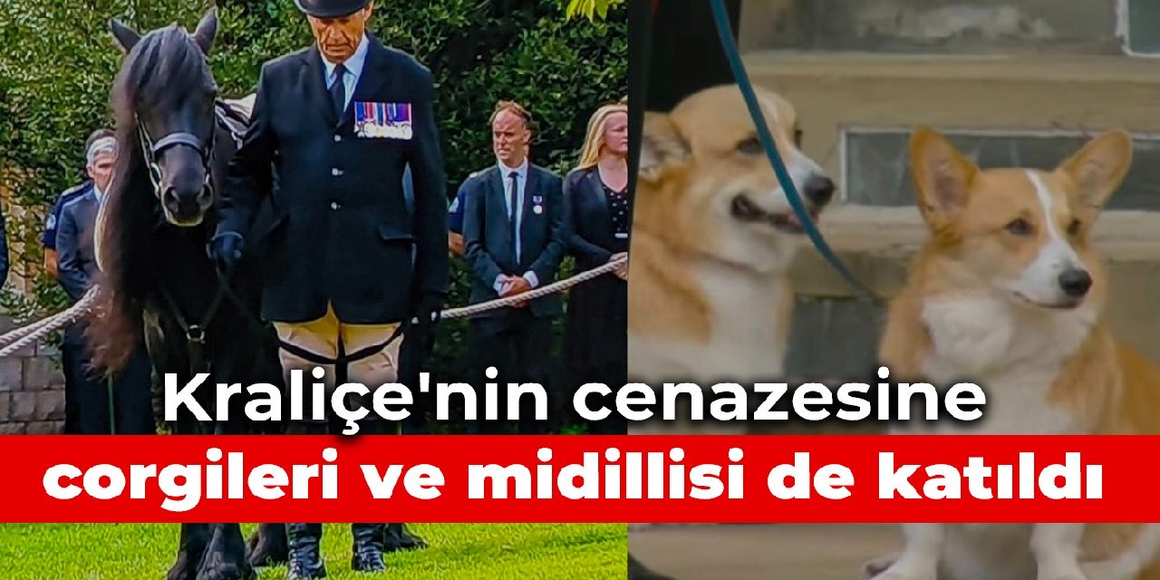 Kraliçe'nin cenazesine corgileri ve midillisi de katıldı