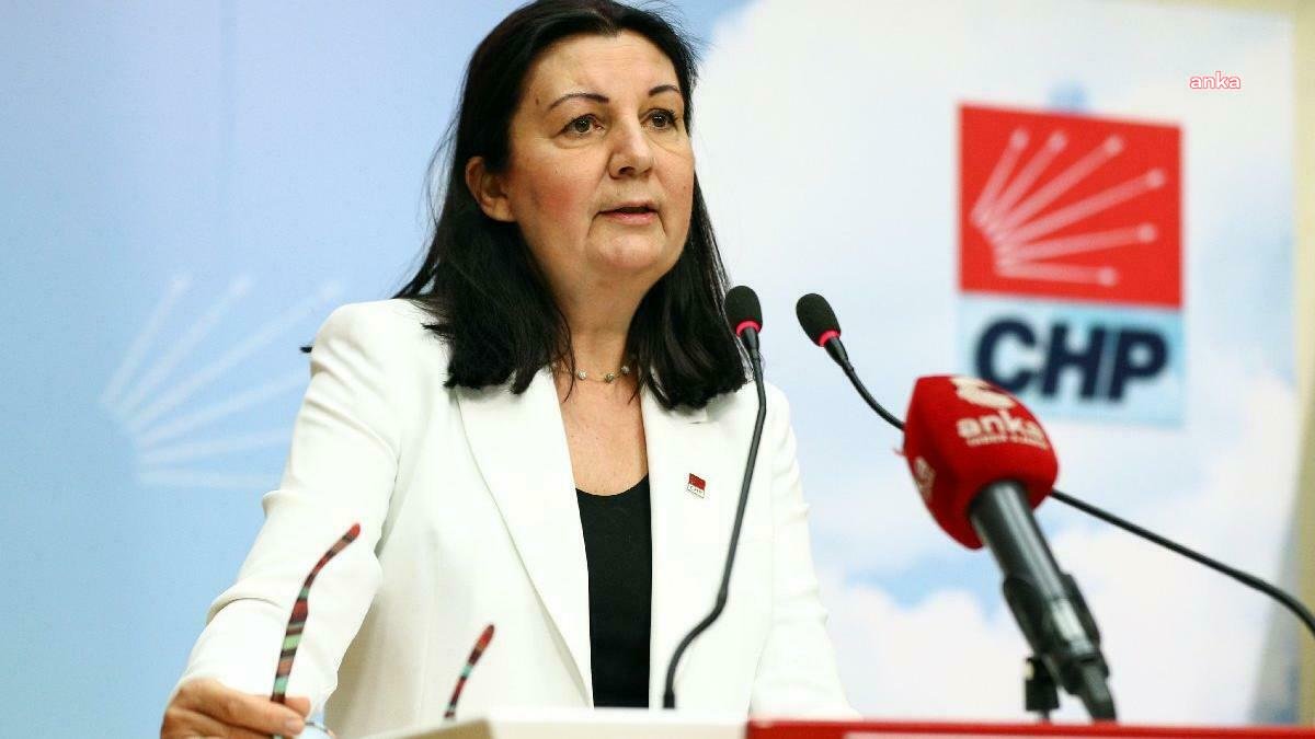 CHP'li Karabıyık’tan Bakan Kasapoğlu’na: Kaç psikolojik danışman istihdam edilmektedir?