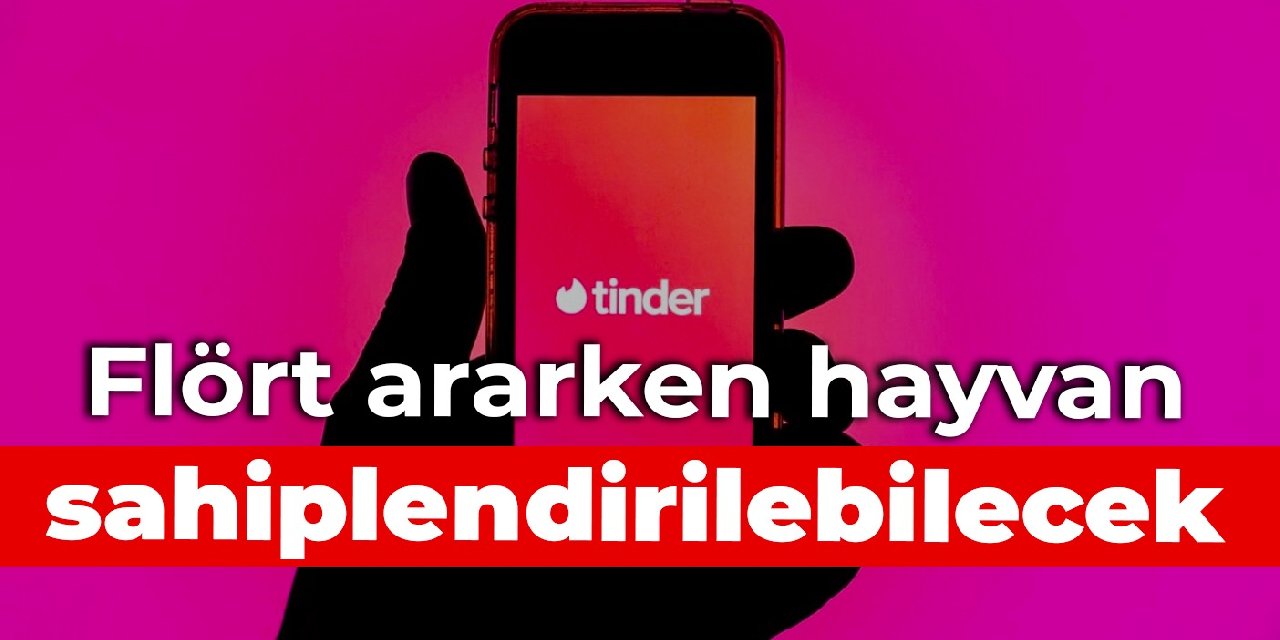 Flört ararken hayvan sahiplendirilebilecek