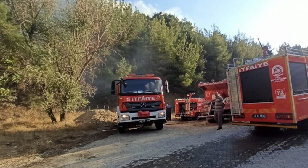 Denizli'de orman yangını çıktı