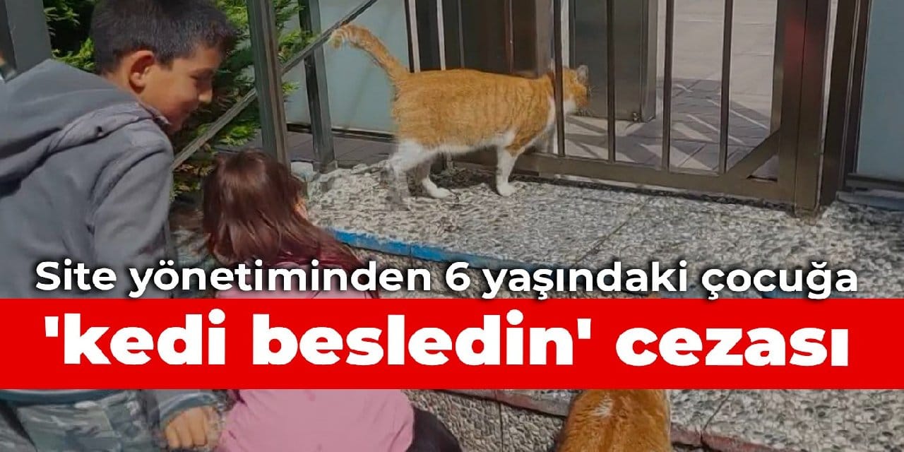 Site yönetiminden 6 yaşındaki çocuğa 'kedi besledin' cezası