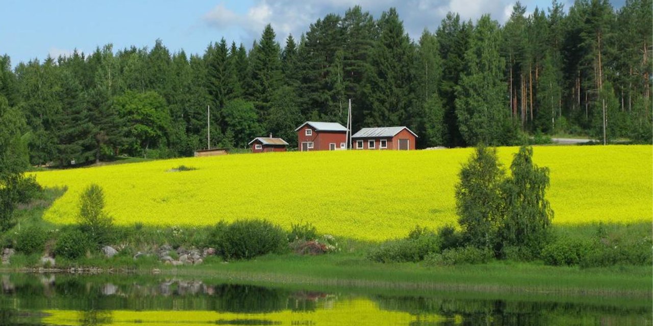 Dünyanın en mutlu ülkesi Finlandiya'dan mutluluk dersleri: İşte başvuru detayları...