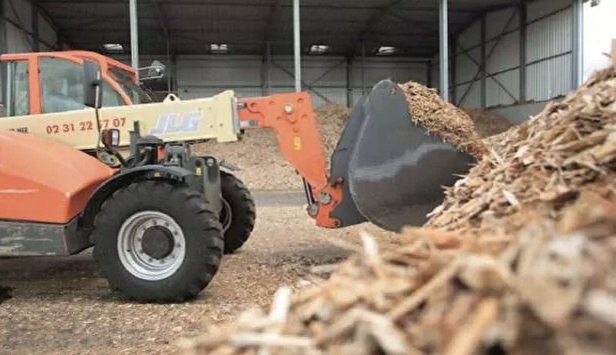 Enerji krizi odun şirketlerine yaradı