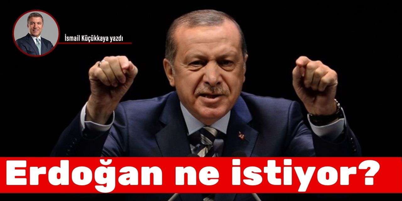 Erdoğan ne istiyor?