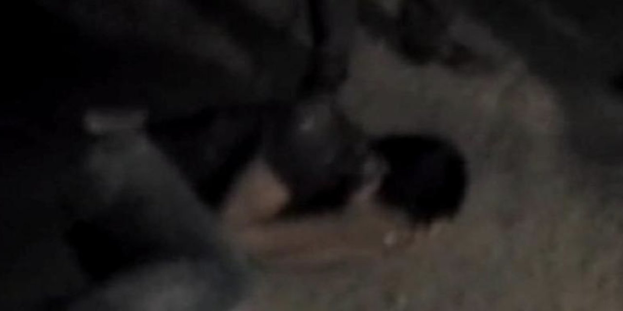 Libya’da yüzlerce kişinin işkenceden öldüğü belgelendi