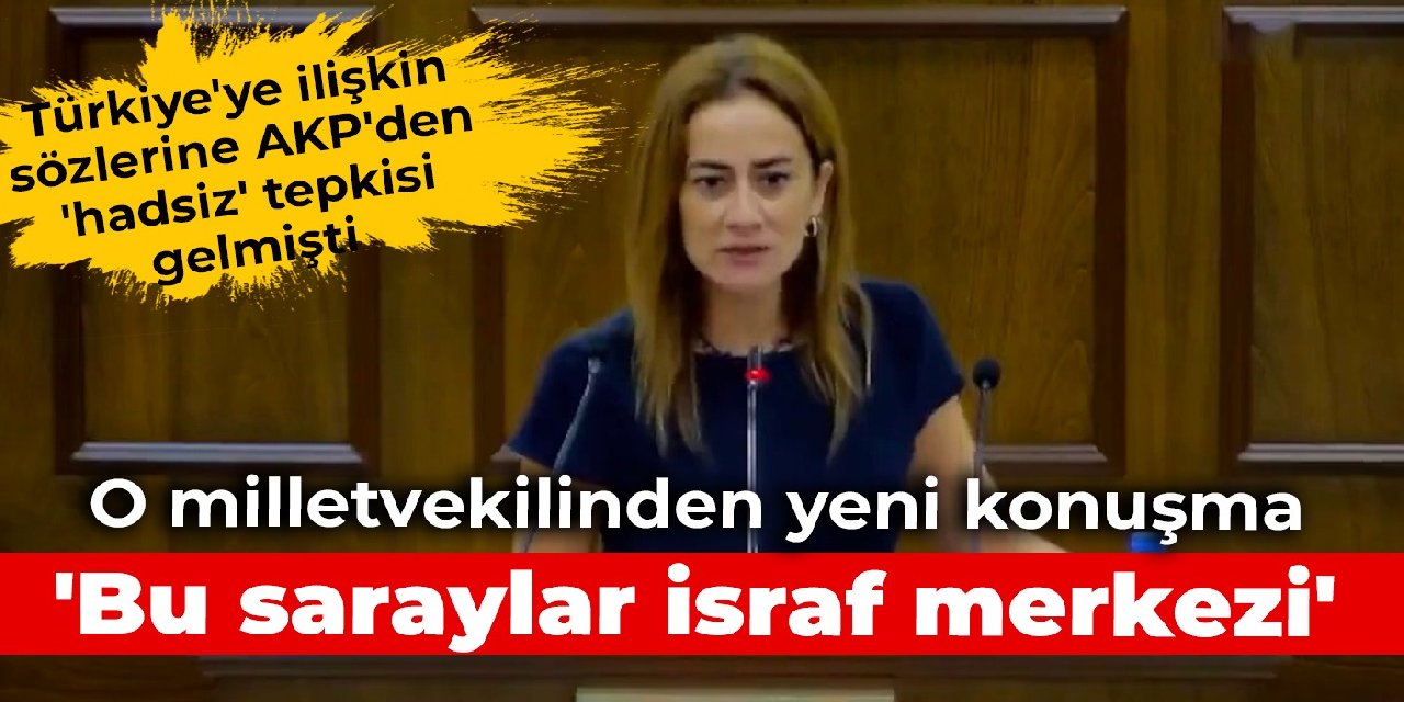 Türkiye'ye ilişkin sözlerine AKP'den 'hadsiz' tepkisi gelmişti: O milletvekilinden yeni konuşma