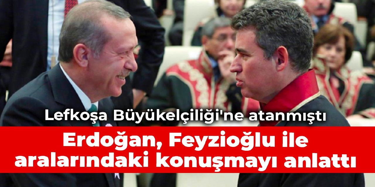 Lefkoşa Büyükelçiliği'ne atanmıştı: Erdoğan, Feyzioğlu ile aralarındaki konuşmayı anlattı
