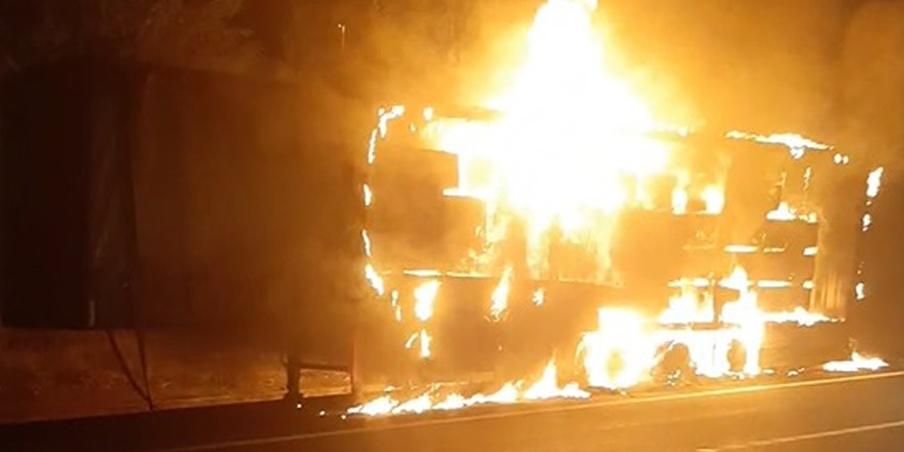 MDF yüklü TIR'ın dorsesi alev alev yandı