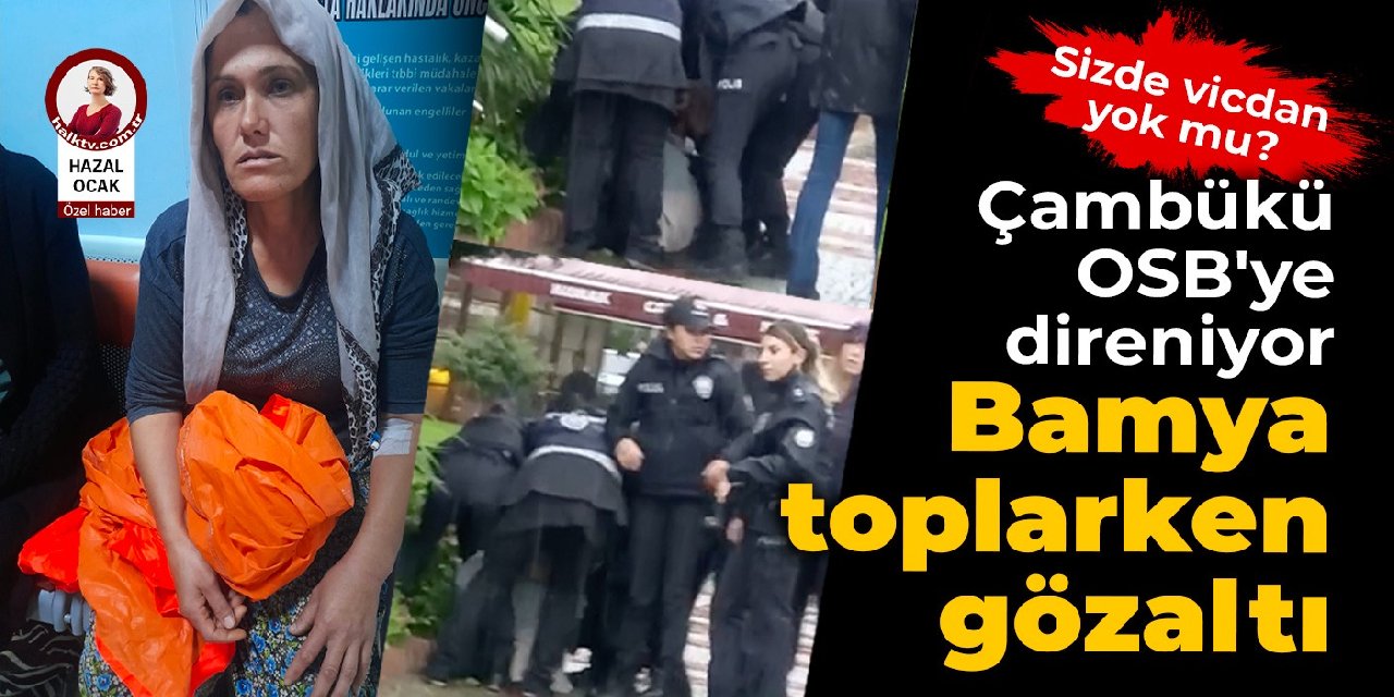 Çambükü köylüleri OSB'ye direniyor: Bamya toplarken gözaltına alındı