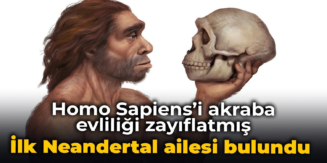 Homo Sapiens’i akraba evliliği zayıflatmış: İlk Neandertal ailesi bulundu
