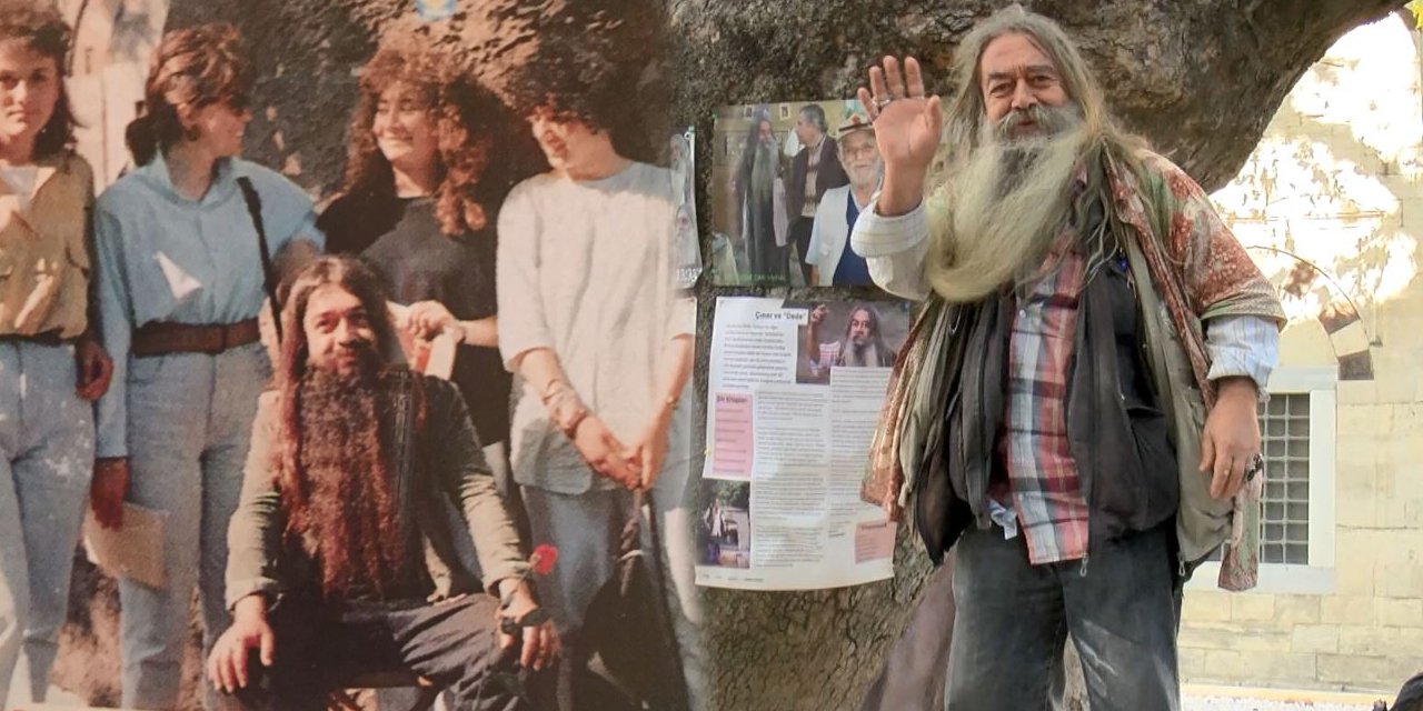 İstanbul Üniversitesi'nin 58 yıllık hafızası: Adı artık altından ayrılmadığı ağaçla anılacak