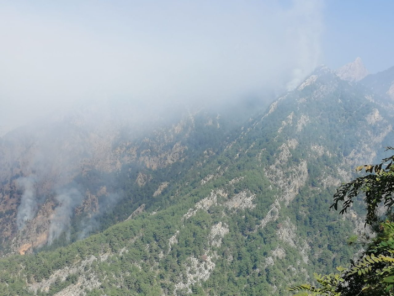 Osmaniye'deki orman yangını: Havadan müdahale sürüyor