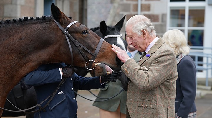 3. Charles, annesinden miras kalan atları satışa çıkardı