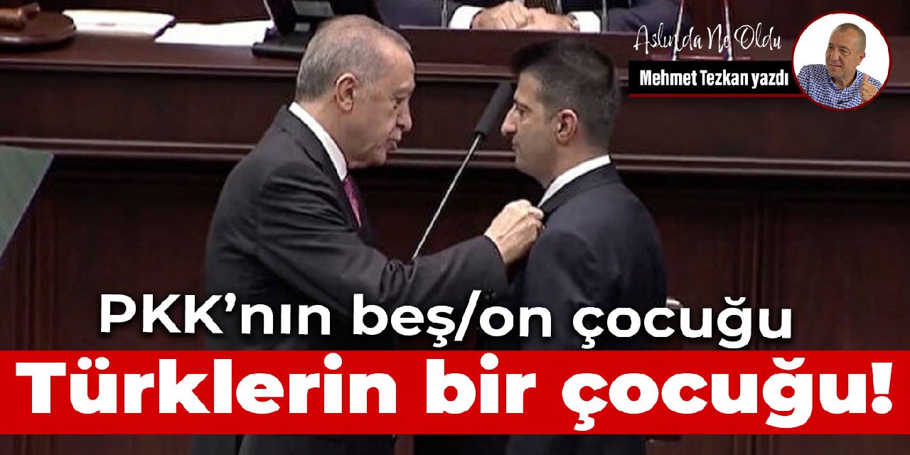 PKK’nın beş/on çocuğu  Türklerin bir çocuğu!