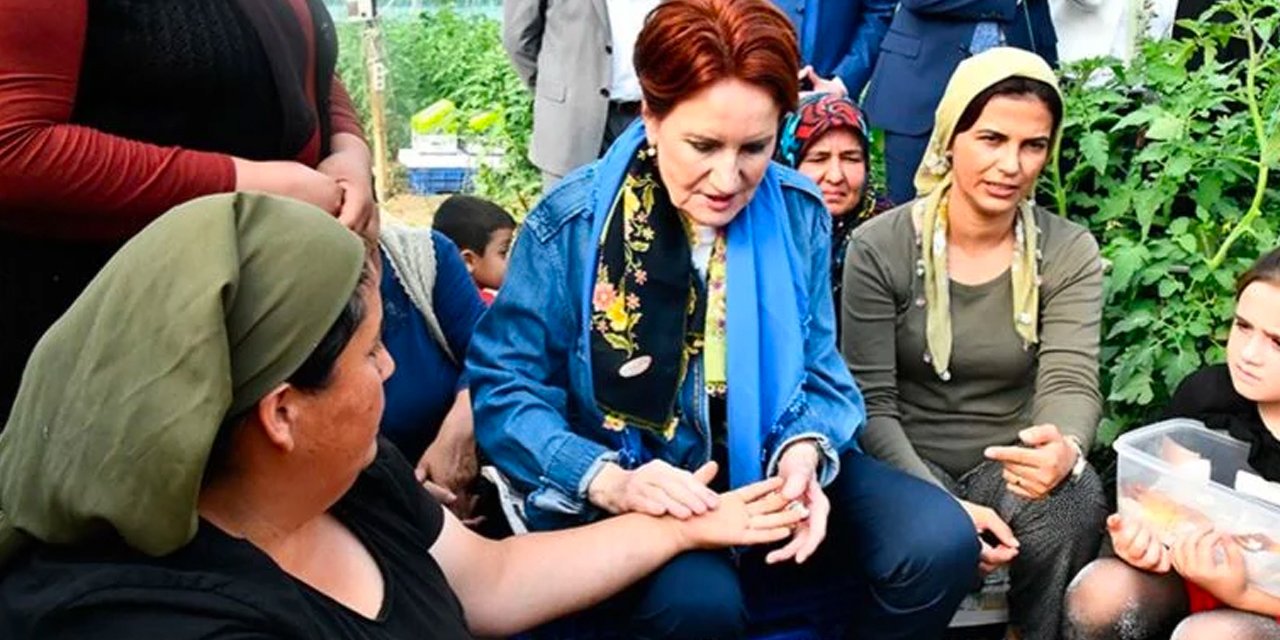 Domates üreticisi Akşener'e dert yandı: Torba dolmuyor