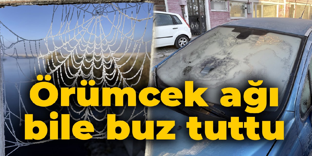 Örümcek ağları bile buz tuttu